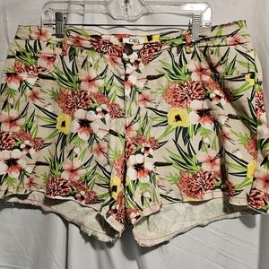 Lady's Cato 16W Flowerdy, short shorts.